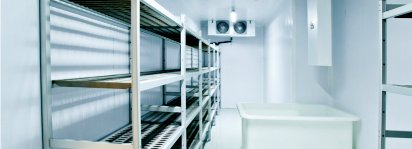 How CoolDirect Ensures Top-Notch Service for Cold Rooms and Freezer Rooms Installation and Repair in Cape Town