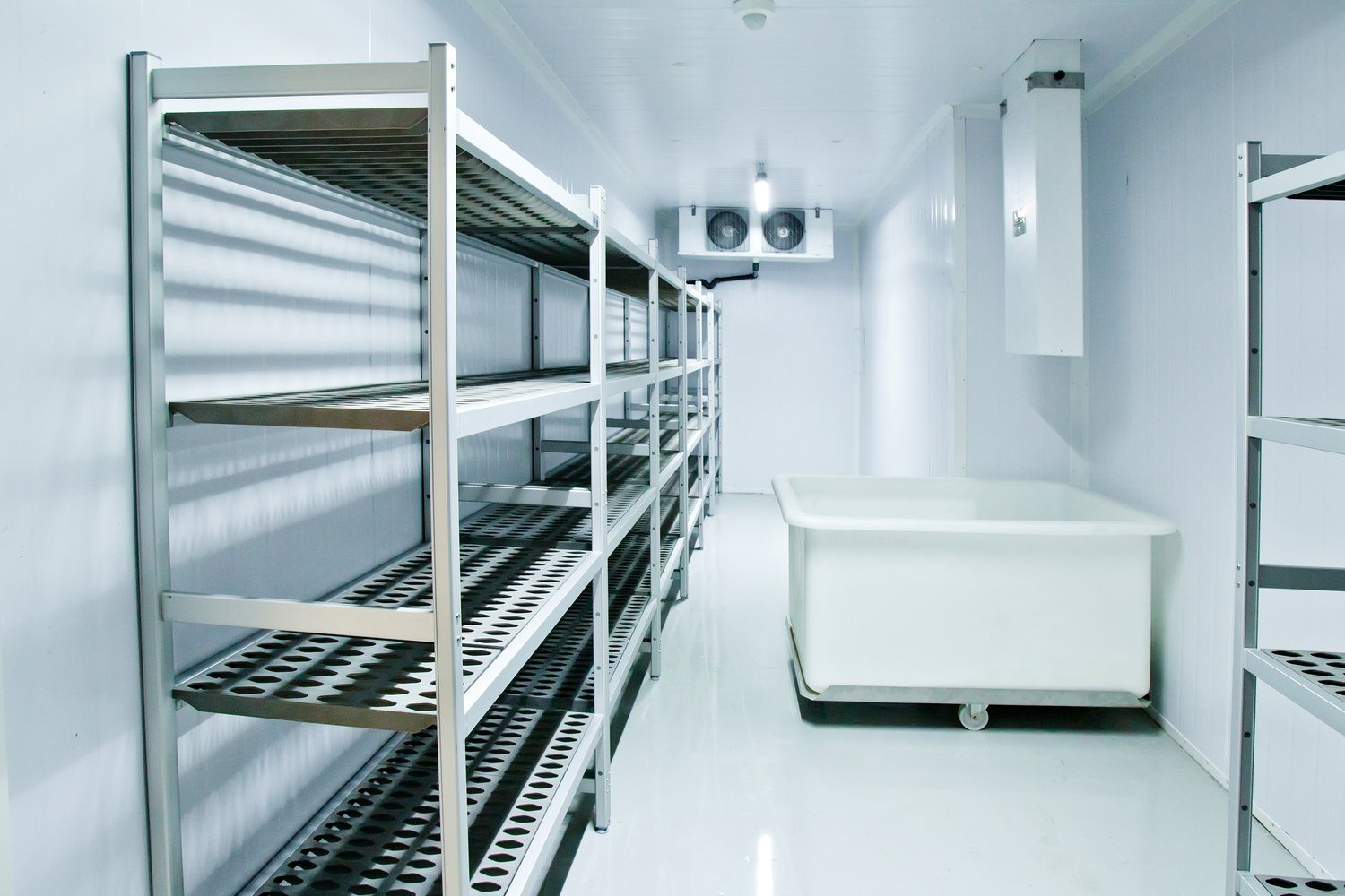 How to Choose the Right Size Freezer Room for Your Business